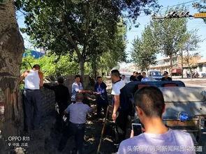 孝义镇网红,网红打卡地，古韵新潮的乡村魅力之旅