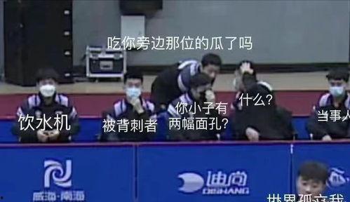 明星集体上线吃瓜,明星集体上线，吃瓜群众狂欢不止！