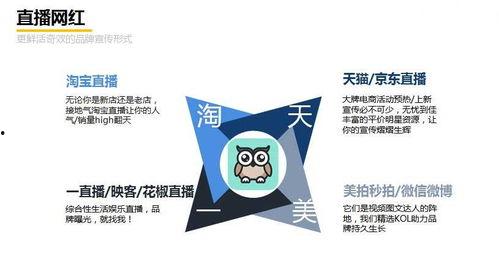 网红广告推广,揭秘广告推广的全新力量