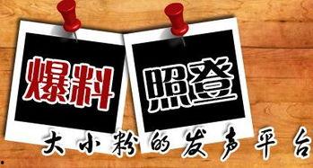 重庆新闻爆料方式,市民直击现场，最新事件实时报道