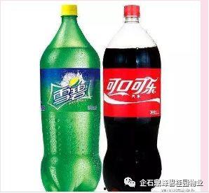 美网红雪碧,夏日清凉新宠，时尚饮品新潮流