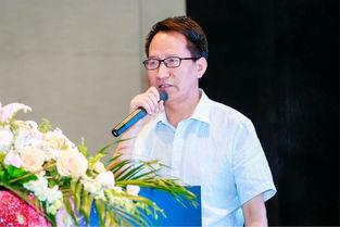 南网王庆红,引领南方电网创新发展之路