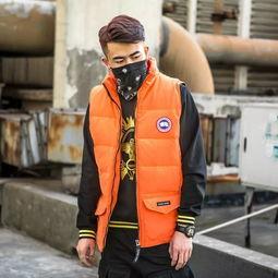 大鹅羽绒马甲明星,温暖时尚两不误