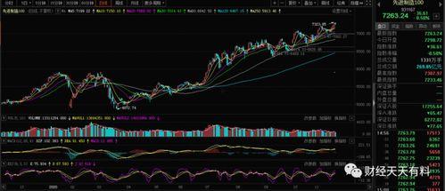热点关注今日看料,今日看料深度解析