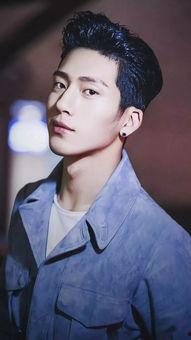 男明星h,揭秘男明星H的璀璨人生