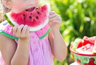 晚睡的人有瓜吃,晚睡者的瓜田盛宴