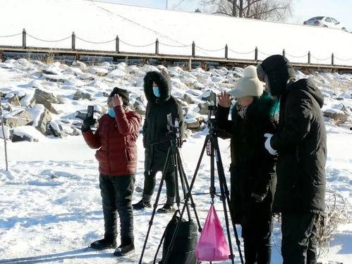 网红浪哥,网络红人的崛起与影响力