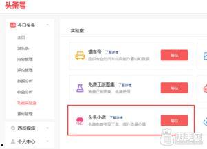 怎么在头条上申请小店,头条小店申请全攻略，开启电商新篇章