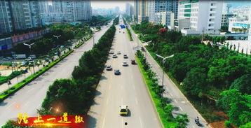 今日头条文山广场,繁华都市中的绿色氧吧