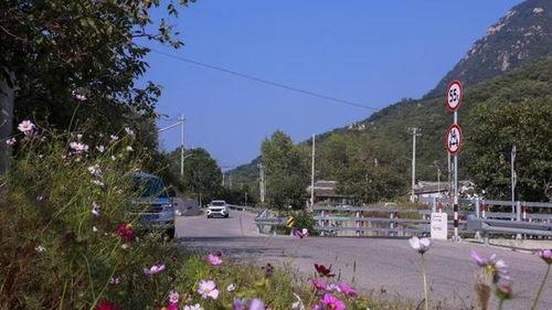 武乡前沟村网红打卡,探寻红色足迹，网红打卡点的魅力之旅”