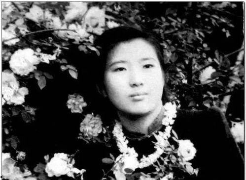 娱乐圈摆烂吃瓜是谁啊